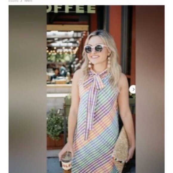 J Crew Woman's Gingham Tie Neck Cotton Sleeveless Mini Dress Rainbow size 12 - Picture 7 of 8